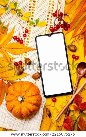 Mockup of a smartphone display and pumpkin on a background in yellow orange red tones: a white knitted plaid leaves berries spoons hazelnuts. Template autumn lists recipes applications on maple leaves