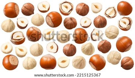 Set of whole, peeled and broken hazelnuts isolated on white background. Collection #3-3. Package design elements with clipping path Royalty-Free Stock Photo #2215125367