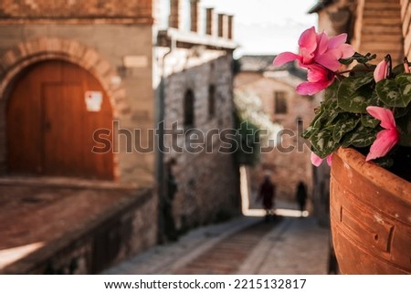 photo taken in Spello, one of the most beautiful villages in Italy located in Tuscany. in detail vase with flowers on stone balcony