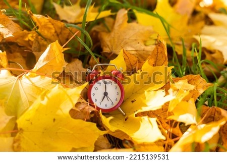 Clock and leaves on yellow background with bokeh