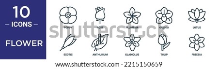 flower outline icon set includes thin line poppy, rose, plumeria, orchid, lotus, exotic, anthurium icons for report, presentation, diagram, web design Royalty-Free Stock Photo #2215150659