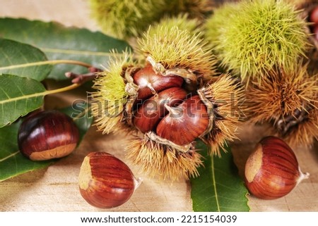 Ripe chestnuts close up. Sweet edible chestnuts. Husked chestnuts and chestnuts with skin. Harvest. Food background. Healthy lifestyle. Protein source. View from above. High quality photo
