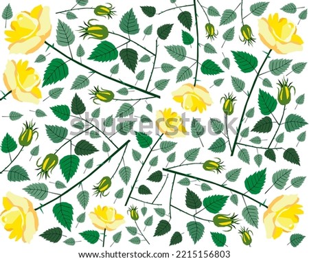 Beautiful Flower, Illustration Background of Bright and Beautiful Yellow Roses.
