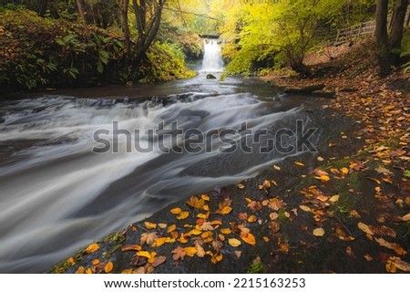 Waterfall and vibrant autumnal colours at Westquarter Burn and glen near Falkirk, Scotland on an autumn day.