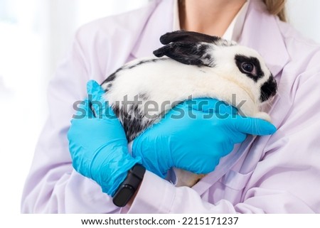 Scientist or pharmacist  holding cute fluffy Bunny in laboratory. Friendship with Easter Bunny. 