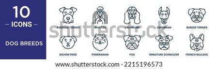 dog breeds outline icon set includes thin line airedale terrier, shih tzu, bas hound, doberman, border terrier, bichon frise, pomeranian icons for report, presentation, diagram, web design
