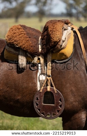 portrait of a horse with its saddle in the Argentine countryside