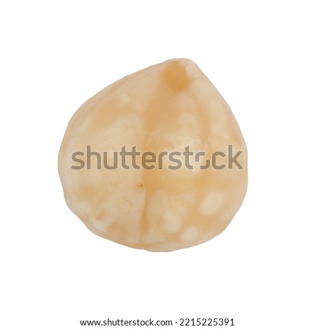 Hazelnut piece isolated on white background