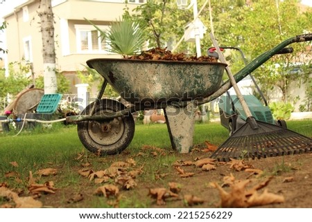 A wheelbarrow and autumn leaves around. Garden cleaning and lawn mowing. High quality photo