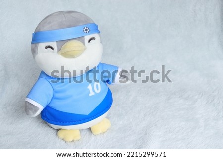 This picture is a penguin doll.