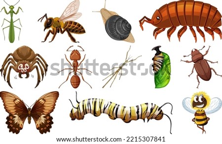 Different kinds of insects collection illustration