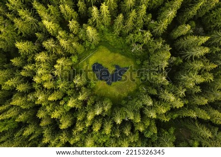 Aerial top view forest tree. Rainforest ecosystem. Drone photography. Lake in the middle of the forest. Slovakia