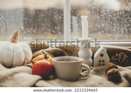 Autumn banner. Stylish warm cup of tea, candle, pumpkins on cozy wool blanket against window with rain drops. Cozy autumn rainy day. Moody fall wallpaper. Happy Thanksgiving