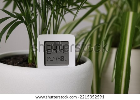 Digital hygrometer with thermometer and plant in flower pot, closeup Royalty-Free Stock Photo #2215352591