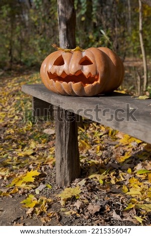 Side view of orange traditional Halloween pumpkin with carved Jack O' Lantern face lying on wooden bench in autumn public park with yellow fallen leaves. Selective focus. Holiday decoration theme.
