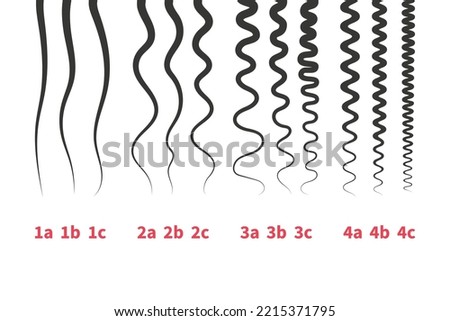 Straight, wavy, curly, kinky hair types classification system set. Detailed human hair growth style chart. Health care and beauty concept. Vector illustration. Royalty-Free Stock Photo #2215371795