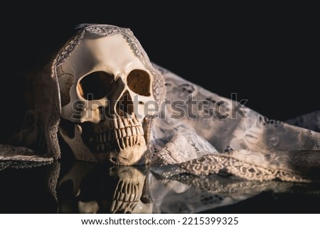 Spooky skull with bride veil for Halloween. Horror wallpaper.