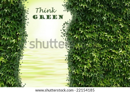 Think Green: Zen-like picture with water reflection and Virginia Creeper
