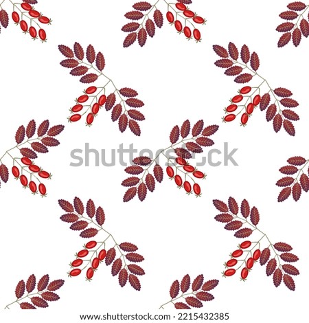 Seamless pattern with Barberry branch on a white background. Vector autumn design. Bright berries and berries branch. Royalty-Free Stock Photo #2215432385