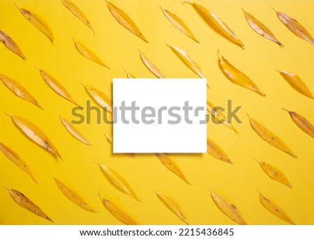Empty elevated rectangular frame mock up and autumn willow leaves on yellow background. Template for design. Copy space.