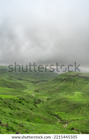 salalah oman beautiful landscape with clouds and green gross Royalty-Free Stock Photo #2215445505