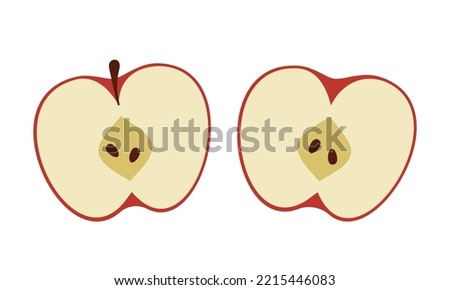 Apple half. Two piece of red fruit with seeds. Isolated vector illustration in flat style. Royalty-Free Stock Photo #2215446083