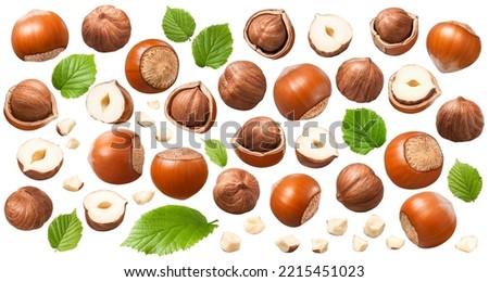 Set of hazelnuts, green leaves and small nut pieces isolated on white background. Collection #2-3. Package design elements with clipping path Royalty-Free Stock Photo #2215451023