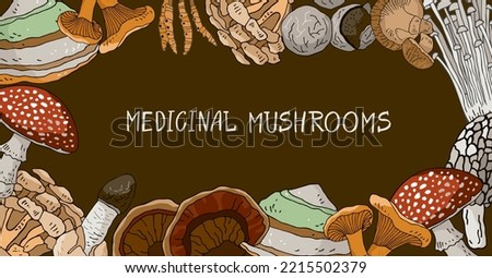 Banner with medicinal mushrooms, lettering isolated on brown. Background with symbols of traditional medicine for posters, social media. Postcard with plants for phytotherapy. Vector illustration. Royalty-Free Stock Photo #2215502379