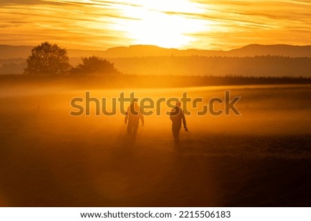 farm workers in the morning mist at sunrise walking on the field