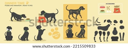 Dog character ready to rig for animation. Vector assets. Black Labrador dog eating dog food with accessories and additional poses. Collection, set. 