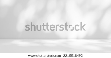 Background White Shadow Studio Light Display Product 3d Gray Blurred Leaf Wall Space Empty Podium Abstract Grey Pattern Texture Design Kitchen Table Interor Shadow Sun Room Template Beauty Mockup.