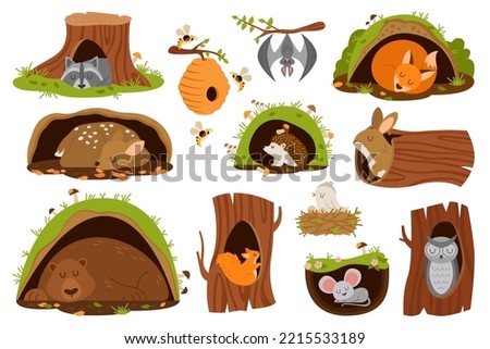 Cartoon animals inside burrow. Set of cute owl, fox, mouse, rabbit, bear, deer, squirrel, raccoon sleeping in holes or trees burrows during winter hibernation. Flat vector illustration