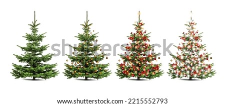 Isolated Christmas tree with Christmas decorations