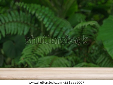 empty top table of pine wood texture in tropical garden fresh green plant blurred background with copy space.for organic healthy natural product present promotion display,nature forest jungle design.