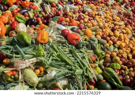 Expired Organic bio waste. Mix Vegetables and fruits in a rubbish bin container. Heap of Compost from vegetables or food for animals. Close up filled frame Royalty-Free Stock Photo #2215576329