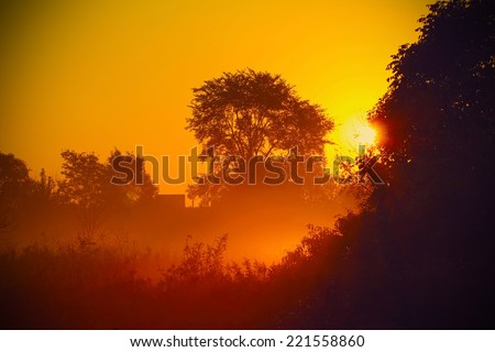  Sunrise in the forest   Save to a Lightbox ?              Find Similar Images     Share ?      Beautiful autumn landscape 