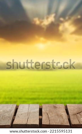 Wooden table top on blur rice field and mountain background.For place food,drink or health care business.fresh landscape and relax season concept.View of copy space.