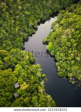 Beautiful aerial view to Negro River and green amazon vegetation Royalty-Free Stock Photo #2215618323