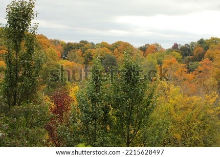 Fall colors are announcing weather seasonal changes