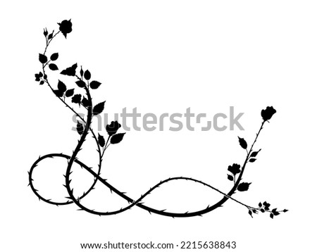 pattern element corner of a rose with thorns weaving plant. scroll image vector