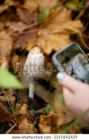 Woman taking picture of the mushroom in the woods.