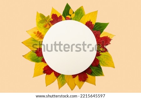  Round label with various autumn leaves. Autumn round frame - wreath from dry colored leaves isolated on white background Flat lay.