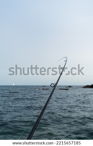 bent fishing rod, a fish biting the hook, in the background the sea, some rocks and the blue sky