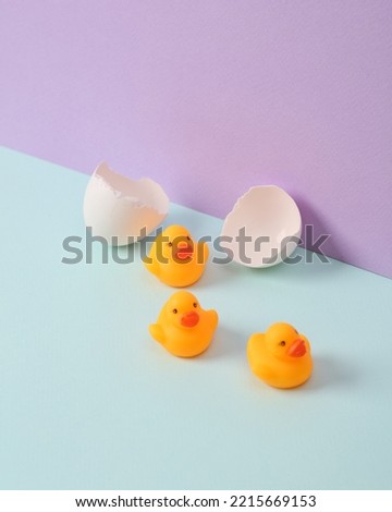 Creative layout. Rubber ducks with eggshell on two tone pastel background. Conceptual pop. Minimal still life.