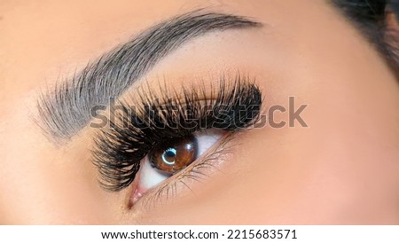 Close up of eyelash Extensions in beauty salon macro eye. High quality photo Royalty-Free Stock Photo #2215683571