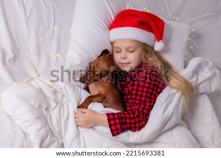 a cute little blonde girl in a Santa hat and pajamas is sleeping in bed with her beloved pet dog dachshund. a child sleeps in bed with a dog. High quality photo