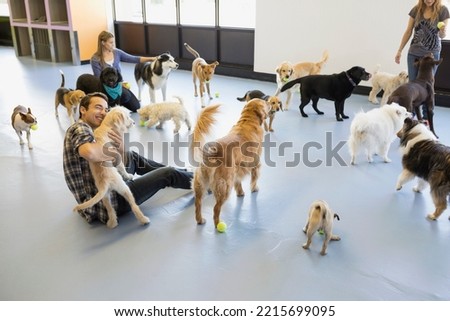 Dog daycare owners playing with dogs Royalty-Free Stock Photo #2215699095