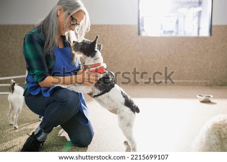 Dog daycare owner petting dog