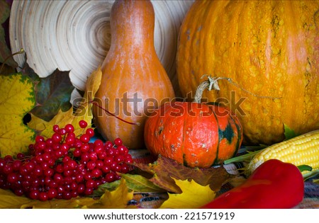 Autumn still life with pumpkins, corn, leaves and viburnum