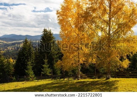 beautiful autumn countryside landscape in  Carpathian Mountains, Ukraine.